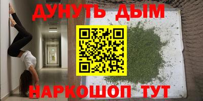 стаф Гагарин