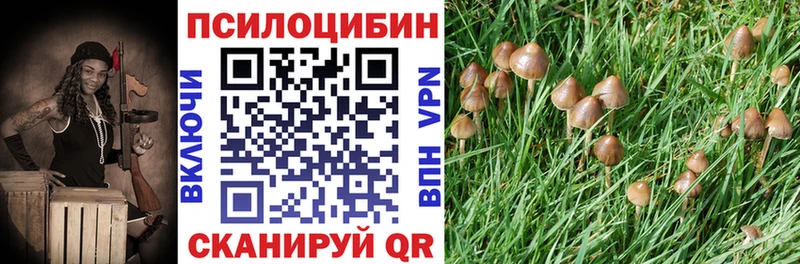 Галлюциногенные грибы Cubensis  где купить наркоту  гидра сайт  Белая Калитва 